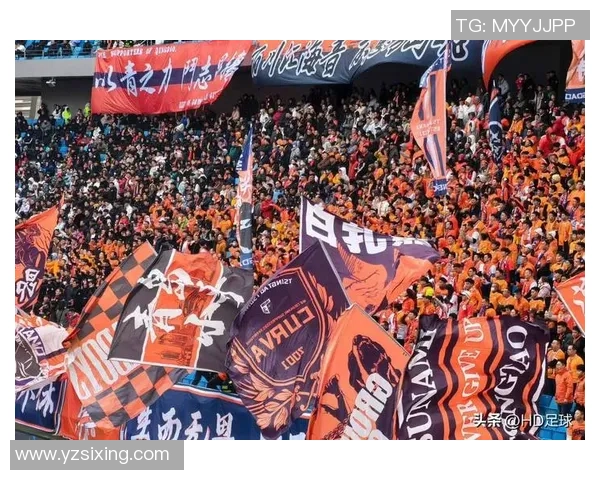 足球爆杠瞬间引发热议球迷热情与争议交织的赛场故事