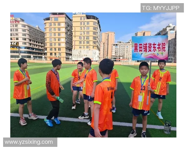 足球赛上的激情与梦想在绿茵场上交汇的瞬间